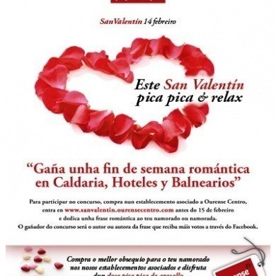 Campana San Valentin 2013