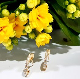 Pendientes en oro amarillo